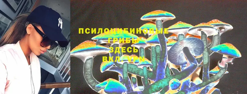 где найти наркотики  Иваново  Псилоцибиновые грибы Cubensis 